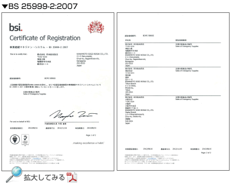 BS25999