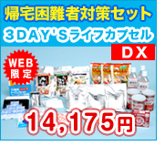 帰宅困難者対策セット　3DAY'Sライフカプセルデラックス 14,175円